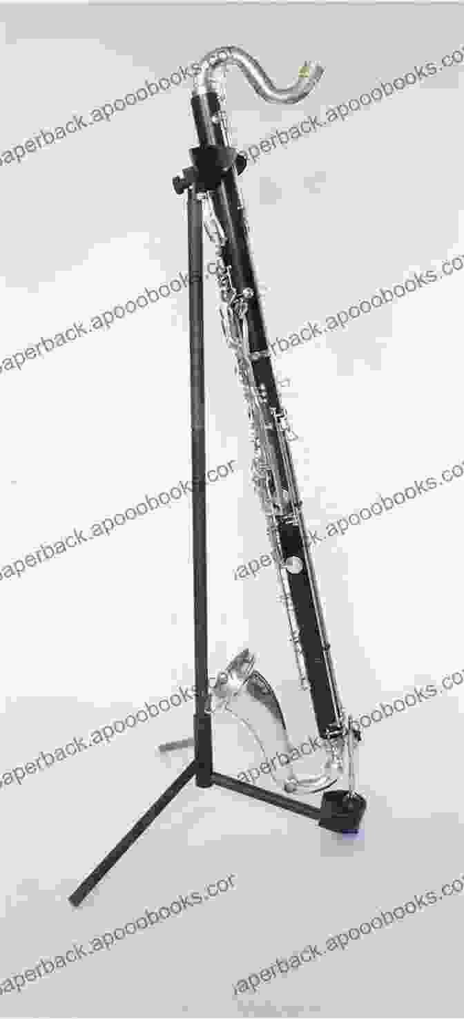 A Bass Clarinet Standing Upright Accent On Ensembles: B Flat Clarinet Or B Flat Bass Clarinet 2 (Accent On Achievement)