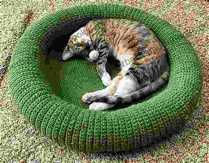 A Cozy Crochet Cat Bed, Complete With A Soft Cushion And A Playful Pompom Crocheting For Cats: Cute And Simple Patterns To Crochet For Your Cats