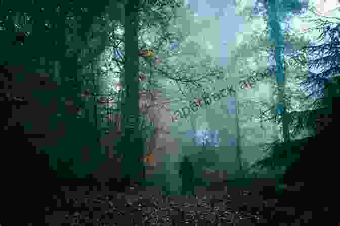 A Dark And Mysterious Forest, With A Lone Figure Standing In The Foreground, Surrounded By Monstrous Creatures Lost In Darkness (Of Monsters And Men)