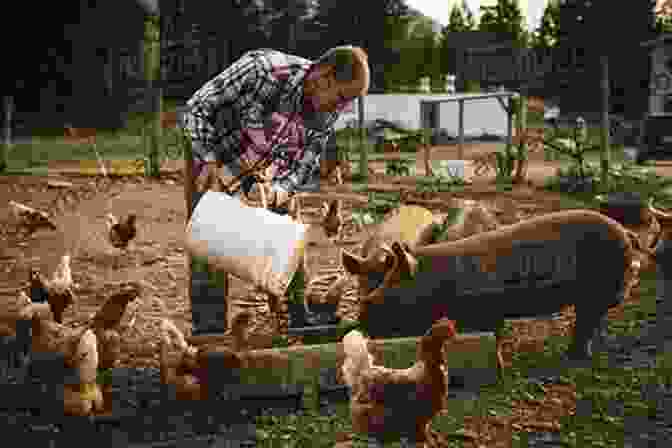 A Farmer Feeding A Pig Tales From The Mud Hole Why Pigs Are My Friends