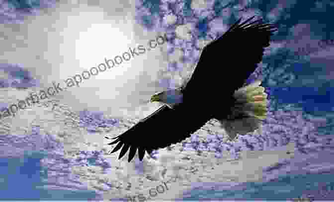 A Majestic Eagle In Flight, Soaring Through The Sky When The Eagle Hunts: A Novel Of The Roman Army (Eagle 3)