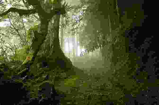 A Misty And Atmospheric Forest With Ancient Trees And A Winding Path The Hunted (The Dawning Of Muirwood 2)