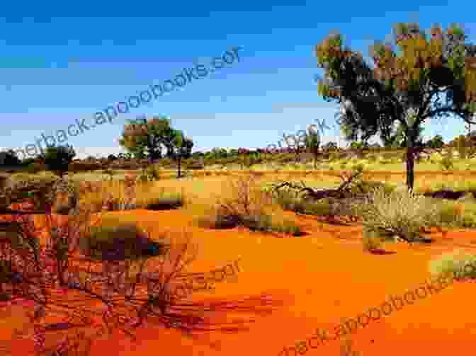 A Photo Of A Desert Landscape In Australia The Water Dreamers: The Remarkable History Of Our Dry Continent