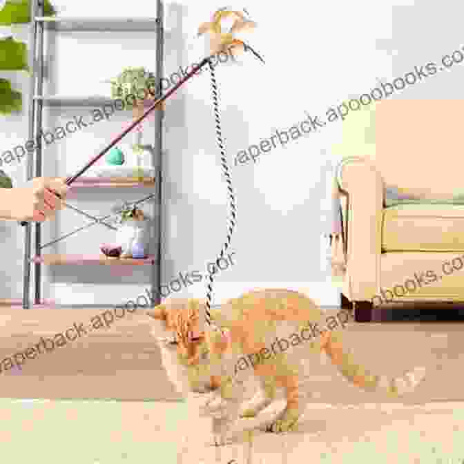 A Playful Cat Batting At A String Toy, Demonstrating Feline Instincts. How To Take Care Of Your Cat: How To Train Take Care Of And Keep Your Cat Healthy