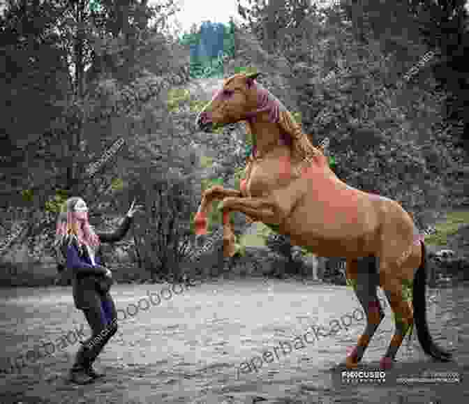 A Woman And A Horse Standing In A Field The Soul Of A Horse BLOGGED The Journey Continues