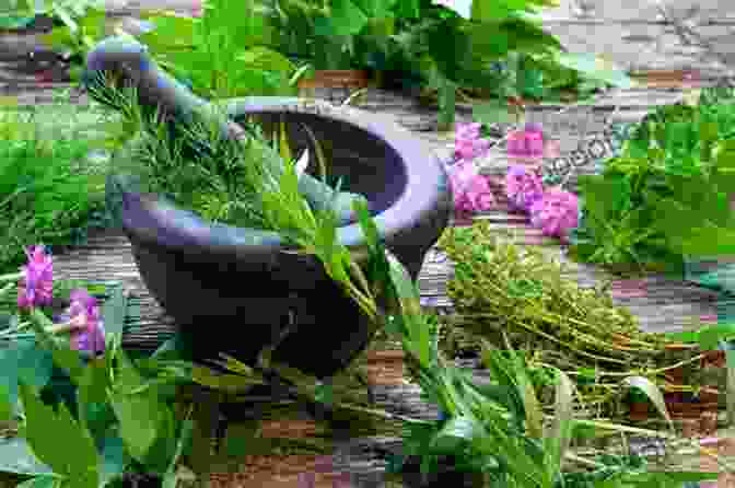 A Woman Examining A Variety Of Medicinal Herbs In A Traditional Apothecary Setting. Heart Of Clay: (A Sweet Western Romance) (The Women Of Tenacity 1)