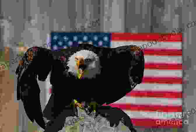 American Eagle Defending The American Flag, Symbolizing The Struggle For America's Survival. State Of Emergency: The Third World Invasion And Conquest Of America