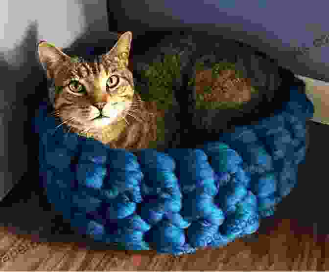 An Adorable Crochet Cat Bed Adorned With Intricate Details Crocheting For Cats: Cute And Simple Patterns To Crochet For Your Cats