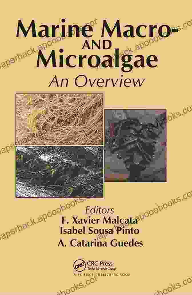 Book Cover Of Marine Macro And Microalgae: An Overview Marine Macro And Microalgae: An Overview