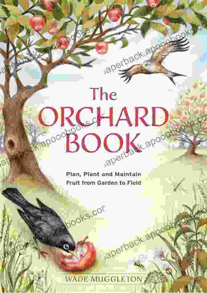 Book Cover Of The Orchard By Jennifer Redondo Marquez The Orchard Jennifer Redondo Marquez