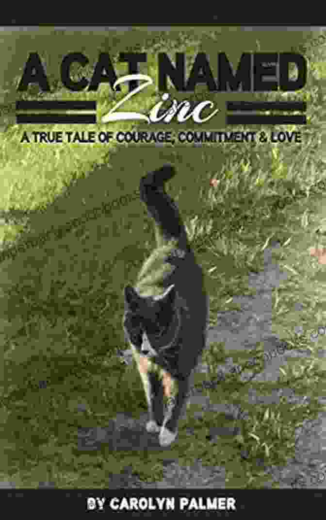 Cat Named Zinc: True Tale Of Courage, Commitment, Love A Cat Named Zinc A True Tale Of Courage Commitment Love