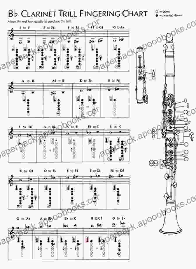 Clarinet Notes For Beginners Book Cover Clarinet Notes For Beginners Jefferson Bethke