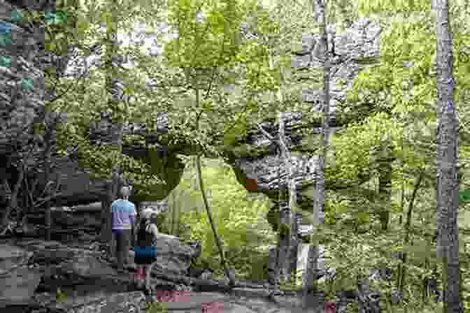 Crowley's Ridge Trail, Petit Jean State Park Guide To The Trails Of Petit Jean State Park