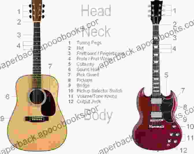 Diagram Illustrating The Anatomy Of A Guitar, Including The Body, Neck, Strings, And Tuning Pegs Learning How To Play The Guitar: Simple And Step By Step Lesson To Learn Playing Guitar: How To Develop Good Practice Habits