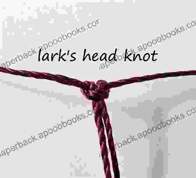 Lark's Head Knot Illustration Macrame: Learn How To Make Basic Macrame With Step By Step Guide: Macrame Guide