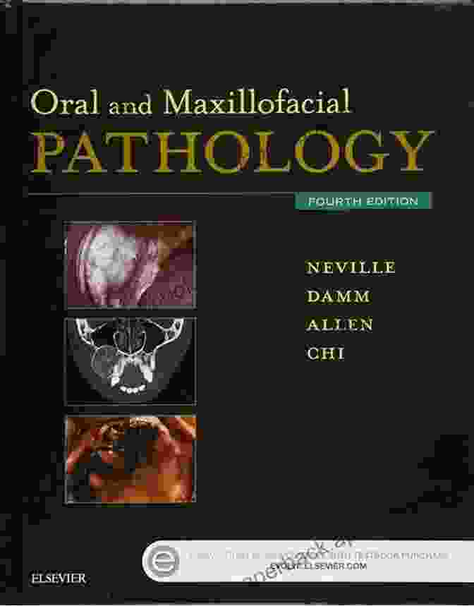 Medical Illustrations Of Oral And Maxillofacial Pathologies And Surgical Approaches Atlas Of Oral And Maxillofacial Anatomy