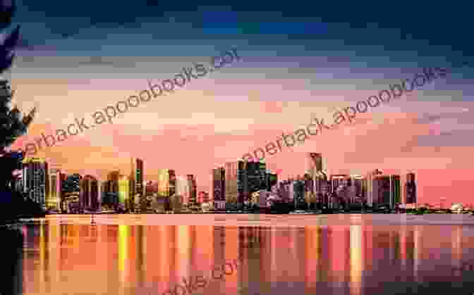 Miami Nights Book Cover: A Captivating Image Of The Miami Skyline At Sunset, With The Book's Title And Author Name Superimposed Over It. How Much I Feel: Miami Nights