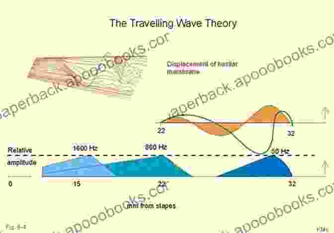 Traveling Wave Analysis Traveling Wave Analysis Of Partial Differential Equations: Numerical And Analytical Methods With Matlab And Maple