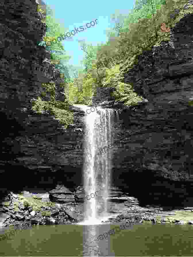 Turtle Shell Falls Trail, Petit Jean State Park Guide To The Trails Of Petit Jean State Park