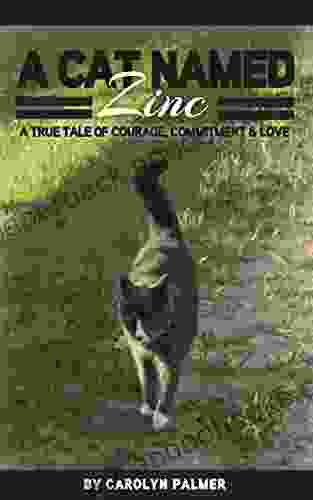 A Cat Named Zinc A True Tale Of Courage Commitment Love