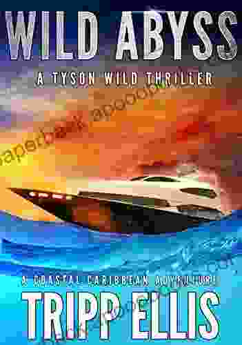 Wild Abyss: A Coastal Caribbean Adventure (Tyson Wild Thriller 18)