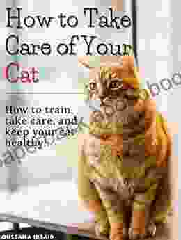 How To Take Care Of Your Cat: How To Train Take Care Of And Keep Your Cat Healthy