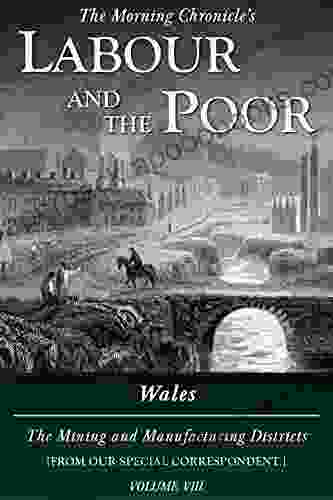 Labour And The Poor Volume VIII: Wales: The Mining And Manufacturing Districts (The Morning Chronicle S Labour And The Poor 8)