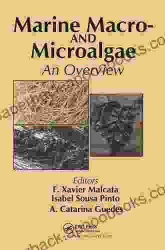 Marine Macro And Microalgae: An Overview