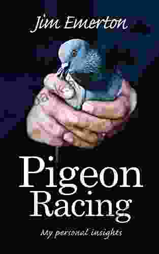 Pigeon Racing: My personal insights