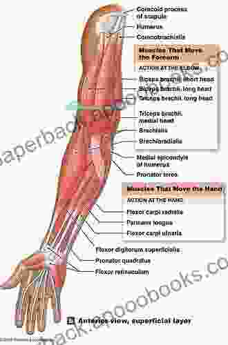 Plastic Surgery: Volume 6: Hand and Upper Limb