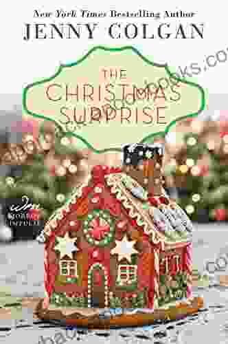 The Christmas Surprise (Rosie Hopkins 3)